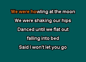 We were howling at the moon
We were shaking our hips
Danced until we flat out

falling into bed

Said I won't let you go