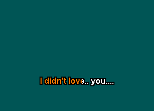 I didn't love.. you....