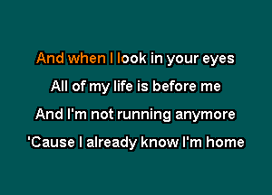 And when I look in your eyes

All of my life is before me

And I'm not running anymore

'Cause I already know I'm home