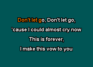 Don't let go, Don't let go,
'cause I could almost cry now

This is forever,

lmake this vow to you