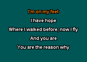 I'm on my feet
I have hope
Where I walked before, now I fly

And you are

You are the reason why