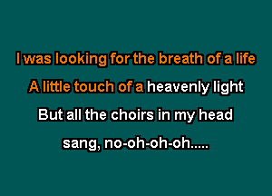 I was looking for the breath of a life

A little touch of a heavenly light

But all the choirs in my head

sang, no-oh-oh-oh .....