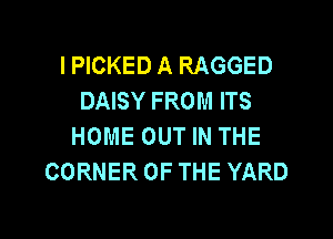 I PICKED A RAGGED
DAISY FROM ITS
HOME OUT IN THE
CORNER OF THE YARD