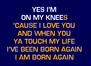 YES I'M
ON MY KNEES
'CAUSE I LOVE YOU
AND WHEN YOU
YA TOUCH MY LIFE
I'VE BEEN BORN AGAIN
I AM BORN AGAIN