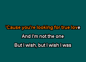 'Cause you're looking for true love

And I'm not the one

But I wish. but I wish I was