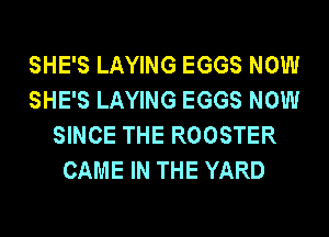 SHE'S LAYING EGGS NOW
SHE'S LAYING EGGS NOW
SINCE THE ROOSTER
CAME IN THE YARD