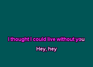 I thought I could live without you

Hey. hey