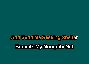 And Send Me Seeking Shelter

Beneath My Mosquito Net