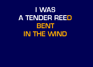 I WAS
A TENDER REED
BENT

IN THE 1NlND