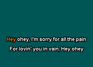 Hey ohey, I'm sorry for all the pain

For lovin' you in vain, Hey ohey