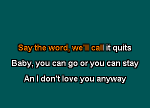 Say the word, we'll call it quits

Baby, you can go or you can stay

An I don't love you anyway