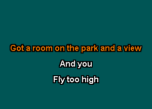 Got a room on the park and a view

And you
Fly too high