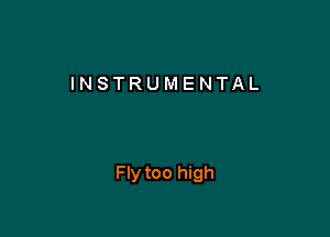 INSTRUMENTAL

Fly too high