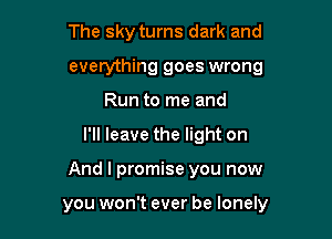 The sky turns dark and
everything goes wrong
Run to me and
I'll leave the light on

And I promise you now

you won't ever be lonely