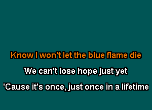 Know I won't let the blue flame die

We can't lose hope just yet

'Cause it's once,just once in a lifetime
