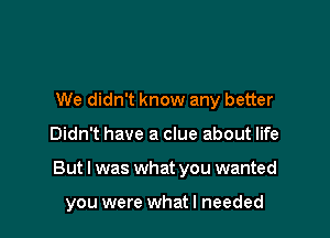 We didn't know any better

Didn't have a clue about life

But I was what you wanted

you were what I needed