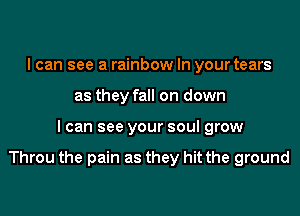 I can see a rainbow In your tears
as they fall on down

I can see your soul grow

Throu the pain as they hit the ground
