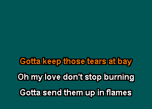 Gotta keep those tears at bay

Oh my love don't stop burning

Gotta send them up in flames