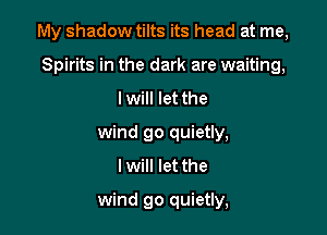 My shadow tilts its head at me,

Spirits in the dark are waiting,
I will let the
wind go quietly,
I will let the
wind go quietly,