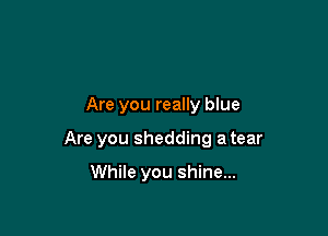 Are you really blue

Are you shedding a tear

While you shine...