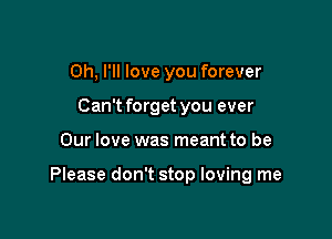 0h, I'll love you forever
Can't forget you ever

Our love was meant to be

Please don't stop loving me