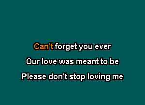 Can't forget you ever

Our love was meant to be

Please don't stop loving me