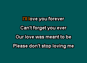 I'll love you forever
Can't forget you ever

Our love was meant to be

Please don't stop loving me