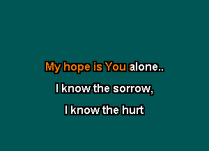 My hope is You alone..

I know the sorrow,

Iknow the hurt