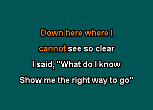 Down here where I
cannot see so clear

lsaid, What do I know

Show me the right way to go