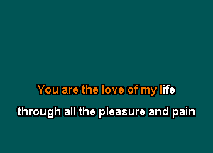 You are the love of my life

through all the pleasure and pain