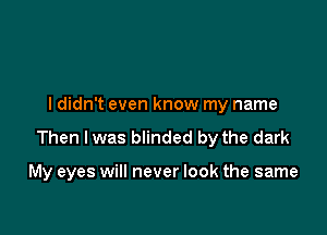 ldidn't even know my name

Then Iwas blinded by the dark

My eyes will never look the same