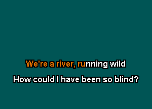 We're a river, running wild

How could I have been so blind?