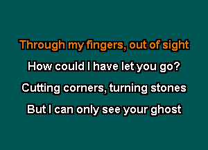 Through my fingers, out of sight
How could I have let you go?
Cutting corners, turning stones

But I can only see your ghost