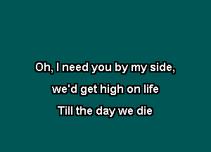 Oh, I need you by my side,
we'd get high on life

Till the day we die