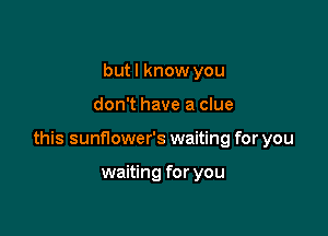 but I know you

don't have a clue

this sunflower's waiting for you

waiting for you