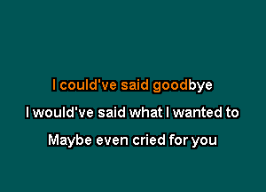 I could've said goodbye

lwould've said what I wanted to

Maybe even cried for you