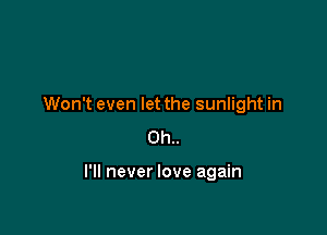 Won't even let the sunlight in
Oh..

I'll never love again