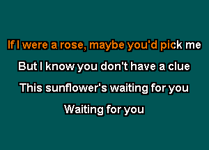 lfl were a rose, maybe you'd pick me

But I know you don't have a clue

This sunflower's waiting for you

Waiting for you