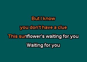 Butl know

you don't have a clue

This sunflower's waiting for you

Waiting for you