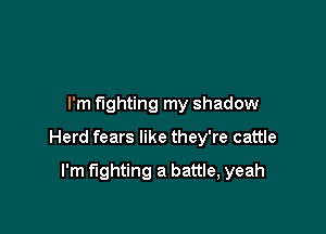 I'm fighting my shadow

Herd fears like they're cattle

I'm fighting a battle, yeah