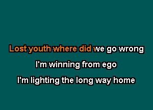 Lost youth where did we go wrong

I'm winning from ego

I'm lighting the long way home