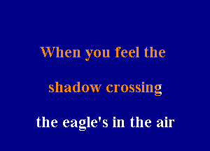 When you feel the

shadow crossing

the eagle's in the air