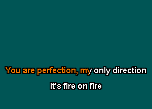You are perfection, my only direction

It's fire on fire