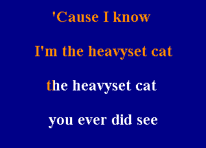 'Cause I know

I'm the heavyset cat

the heavyset cat

you ever did see