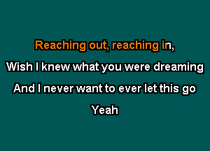 Reaching out, reaching in,

Wish I knew what you were dreaming

And I never want to ever let this go
Yeah