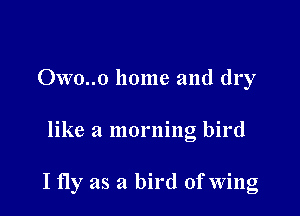 Owo..o home and dry

like a morning bird

I fly as a bird of Wing