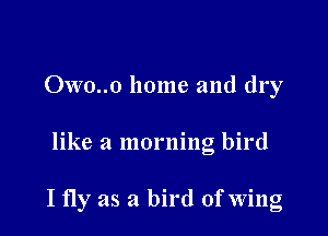 Owo..o home and dry

like a morning bird

I fly as a bird of Wing