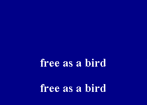 free as a bird

free as a bird