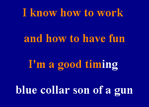I know how to work
and how to have fun
I'm a good timing

blue collar son ofa gun