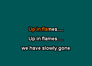 Up in flames .....

Up in flames .....

we have slowly gone